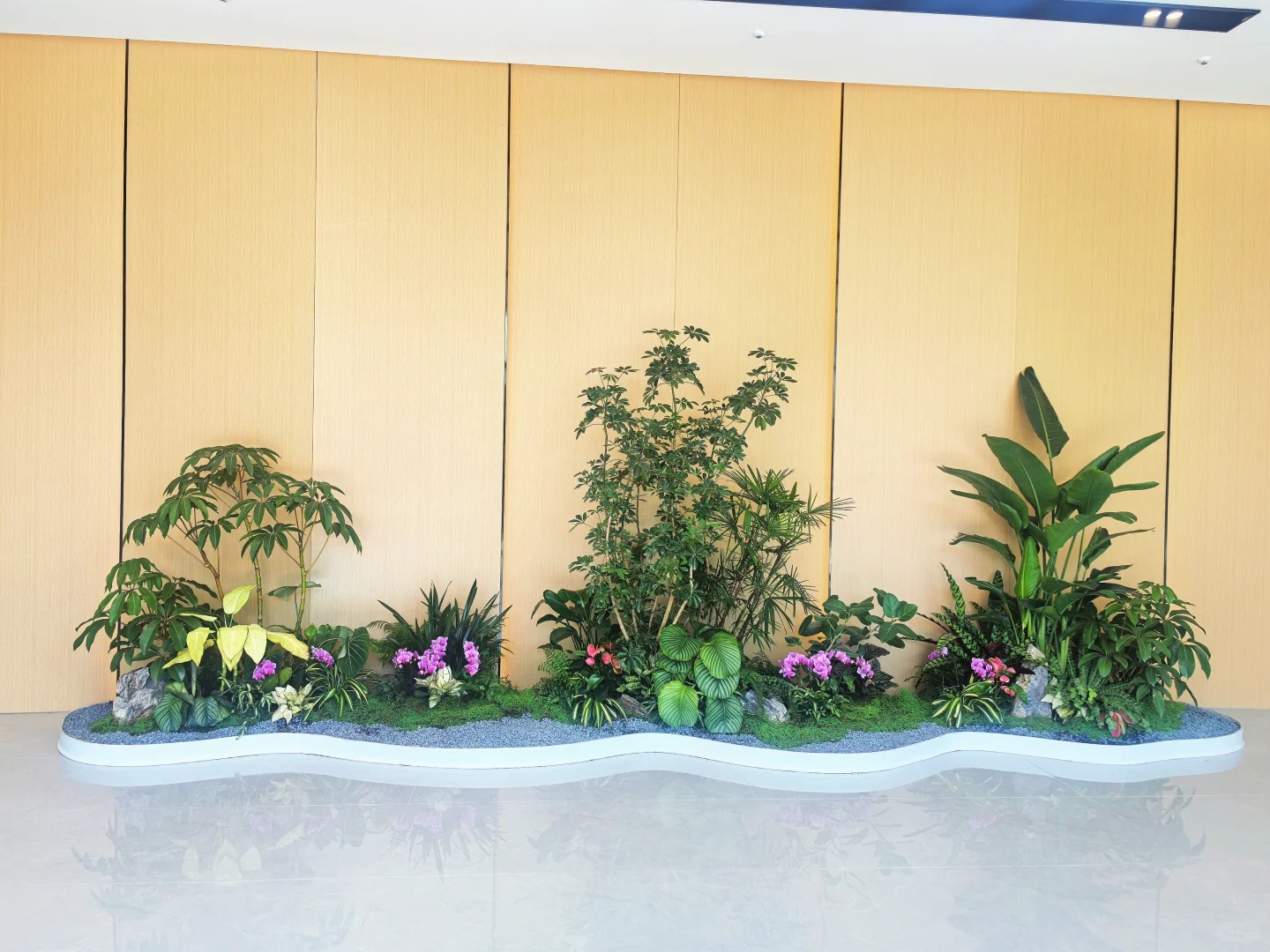 专业慈溪盆景出租，让绿植为环境增添别样风采